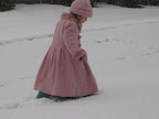 IMG_6220.JPG
