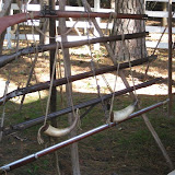 IMG_3828.JPG