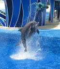 IMG_8767.JPG