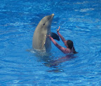 IMG_8764.JPG