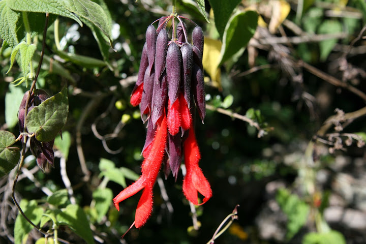 Ветер в кактусах: отчет о поездке Перу - Боливия