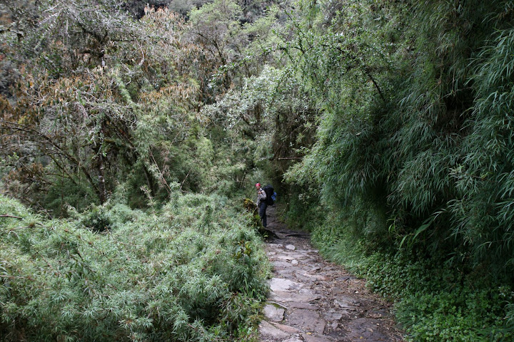Ветер в кактусах: отчет о поездке Перу - Боливия