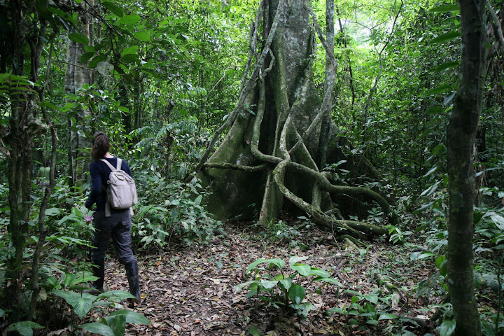 Ветер в кактусах: отчет о поездке Перу - Боливия