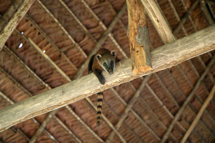 Ветер в кактусах: отчет о поездке Перу - Боливия