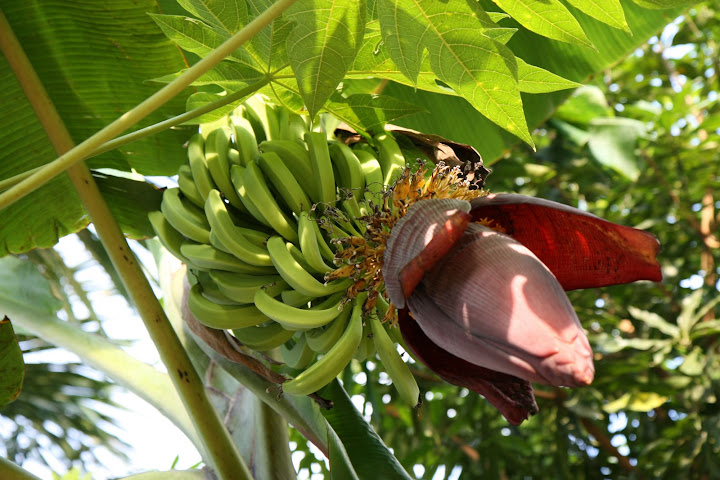 Ветер в кактусах: отчет о поездке Перу - Боливия