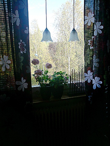 [DSC00967[1][5].jpg]