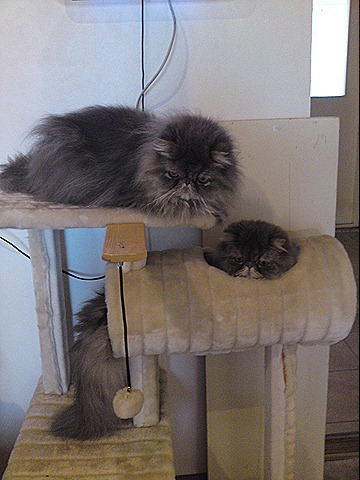 [DSC01013[1][8].jpg]