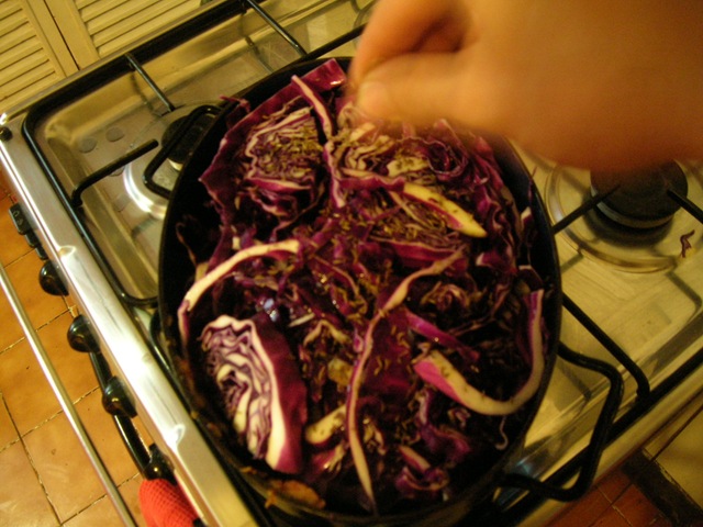 [6 rotkohl[8].jpg]