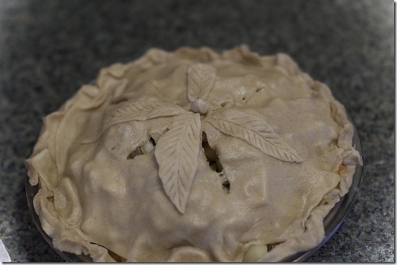 p a pie-78 p a pie-78