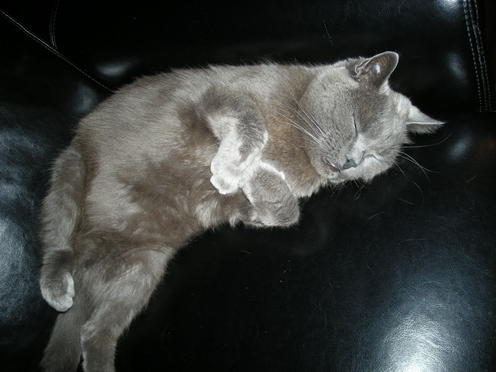 http://lh6.ggpht.com/_Af2NJS5Y8NA/S1I5Eon17HI/AAAAAAAABj4/yVH1CDOkS8U/DSCN1061.jpg