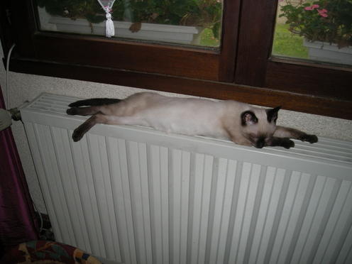 http://lh6.ggpht.com/_Af2NJS5Y8NA/S1I8nU3-XMI/AAAAAAAAB38/oPbQG3THfs0/DSCN2400.jpg
