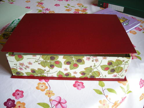 http://lh6.ggpht.com/_Af2NJS5Y8NA/S1IDxtSd34I/AAAAAAAAAdg/L9wH-9J9SJ4/DSCN0812.jpg