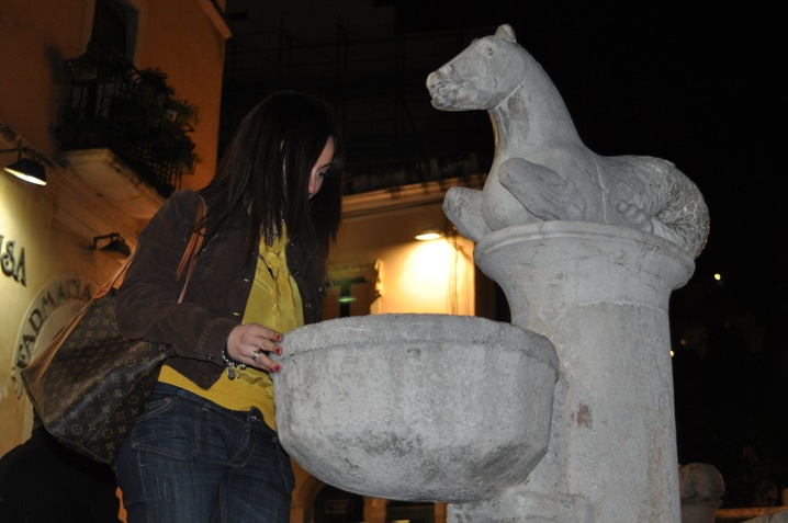 DSC_0392 DSC_0392