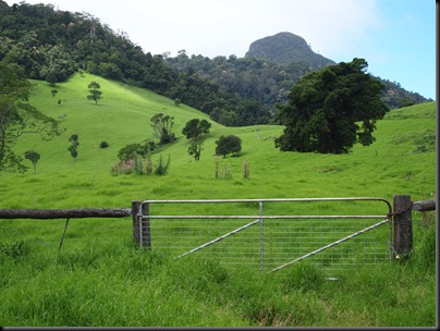field