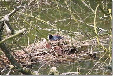 IMG_3070 IMG_3070