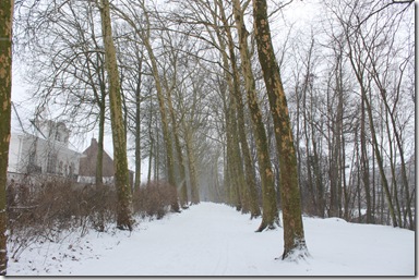 IMG_7364 IMG_7364