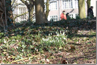IMG_8817 IMG_8817