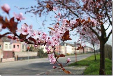 IMG_0066 IMG_0066
