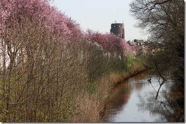 IMG_0086 IMG_0086