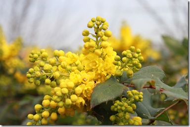 IMG_0122 IMG_0122