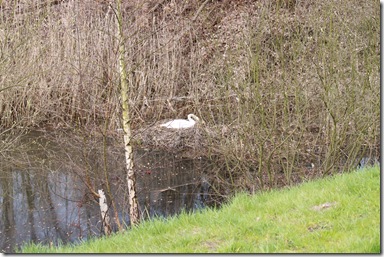 IMG_0134 IMG_0134