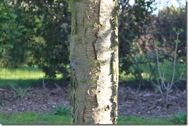 IMG_2002 IMG_2002