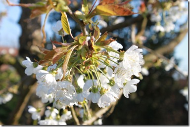 IMG_2003 IMG_2003