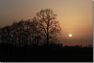IMG_2187 IMG_2187