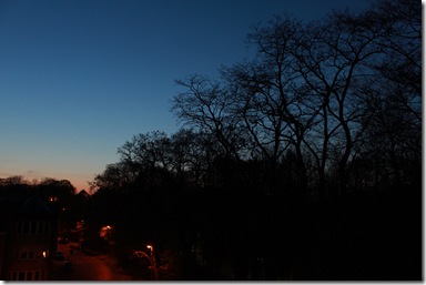 IMG_2424 IMG_2424