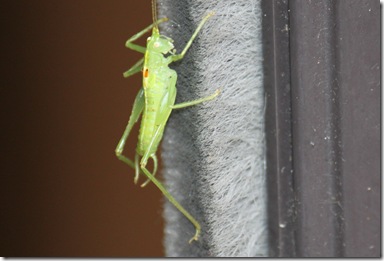 IMG_2800 IMG_2800