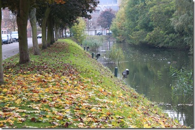 IMG_3563 IMG_3563