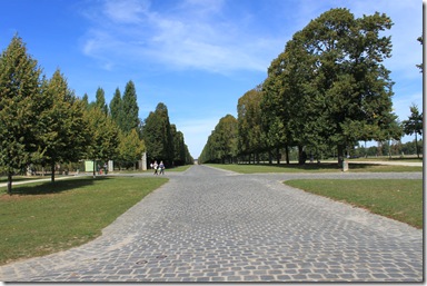 IMG_0711 IMG_0711