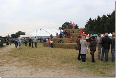 IMG_2397 IMG_2397