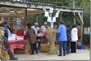 IMG_2407 IMG_2407