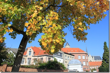 IMG_2842 IMG_2842
