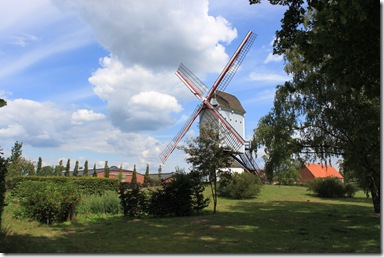 IMG_7235 IMG_7235
