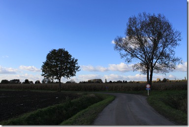 IMG_3949 IMG_3949