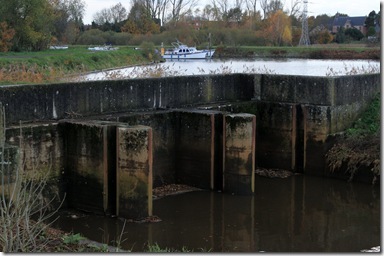 IMG_4698 IMG_4698