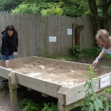 Liam and Meg are digging for fossils.