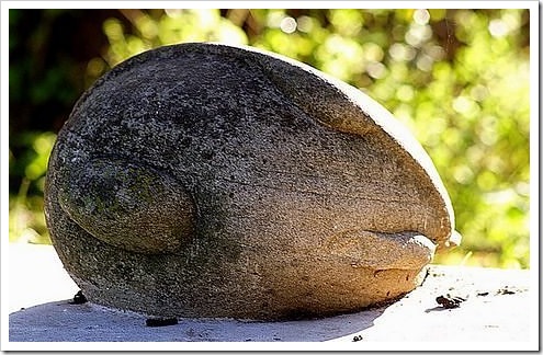 pedra pedra