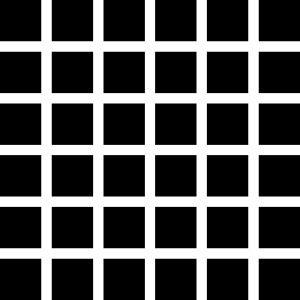 [232px-hermann-grid-illusion[3].jpg]