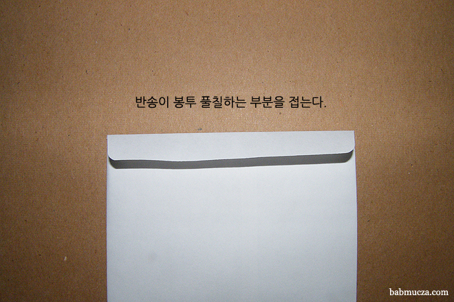 반송이