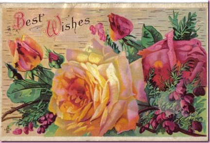 38 roses postcard best wishes