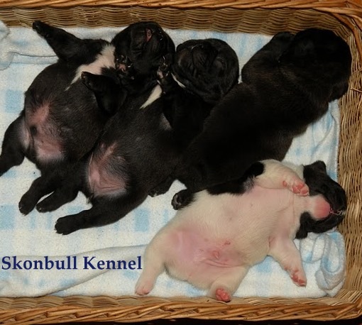 [barriguinhas23.jpg]