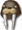 walrus