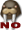 [walrus_reno2.gif]