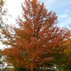 PA140679.JPG