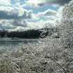 DSCF2315.JPG