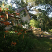 P8010424.JPG