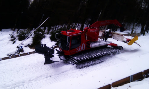 pistenbully spel